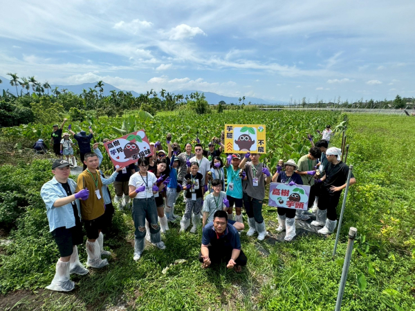 114食農教育創新整合計畫｜高樹鄉鳳梨芋頭手作課程設計｜芮森奈思設計 - 照片 9